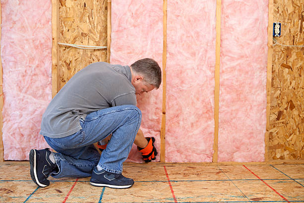 Best Insulation Installation Services in Effort, PA
